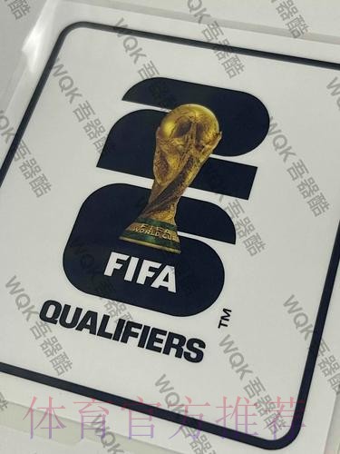 2026世界杯西班牙梅西数据统计权威解读